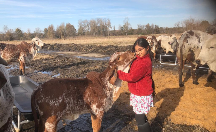 Sadhbuddhi: Become More Happy